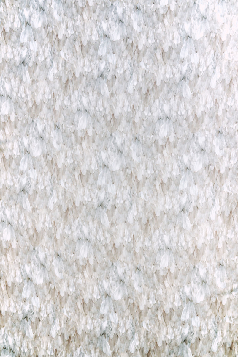 Cadi Viscose Beige Feathers