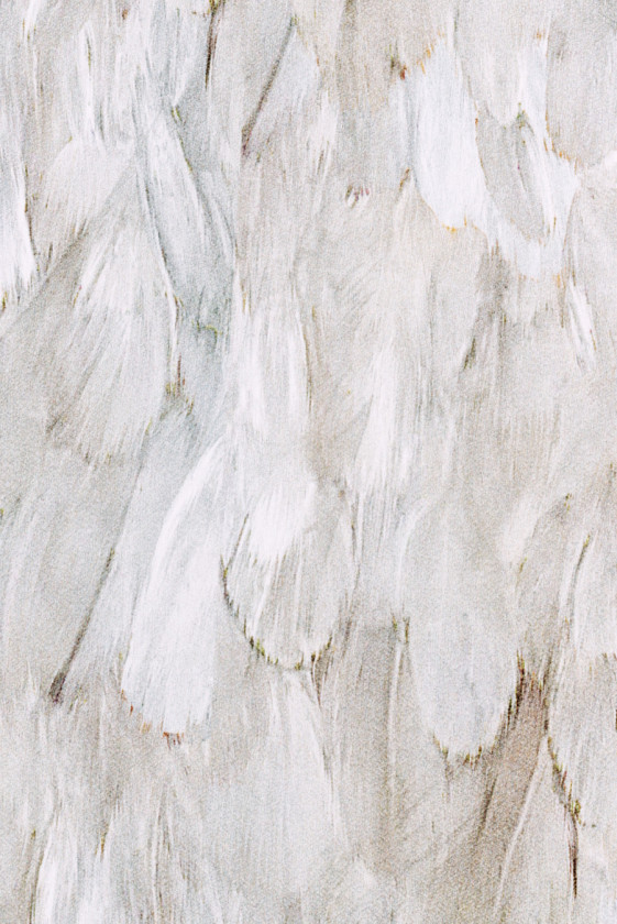 Cadi Viscose Beige Fjer KUPON 80cm