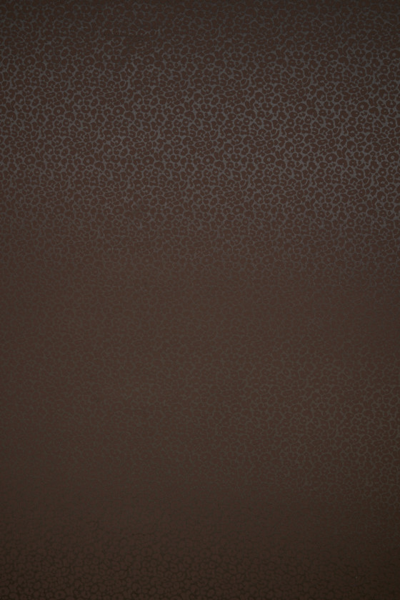 Pruun leopardi trükk jacquard