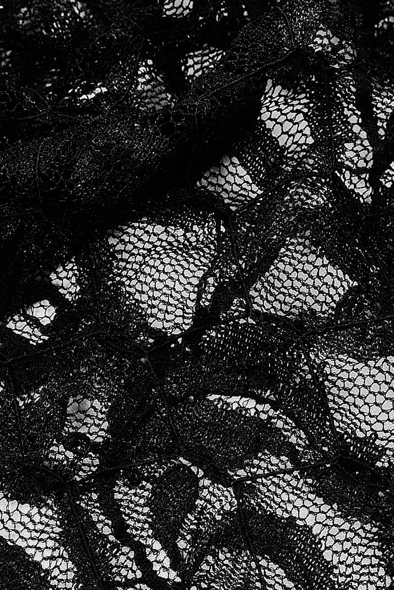 Elastic evening lace