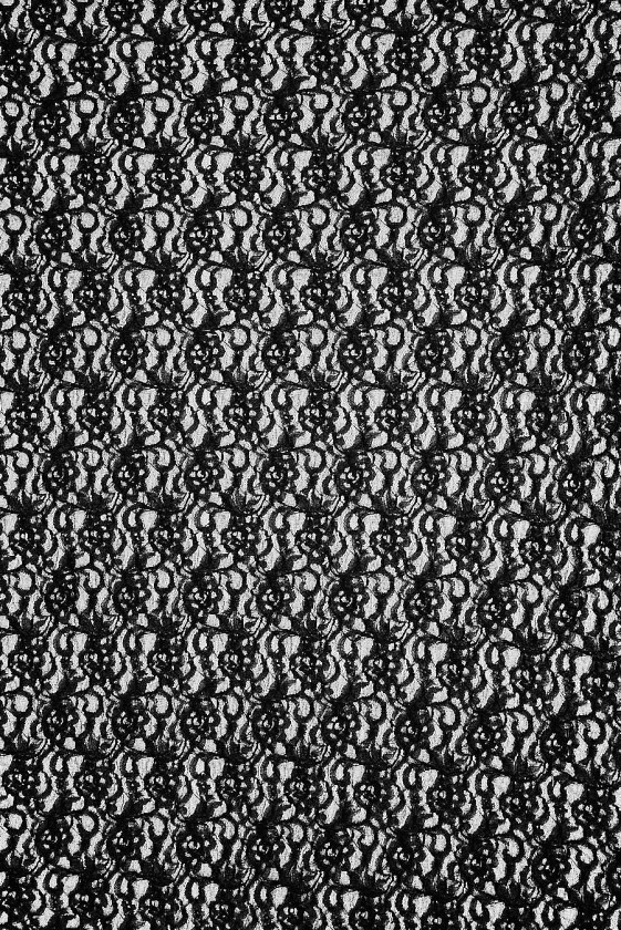 Elastic evening lace