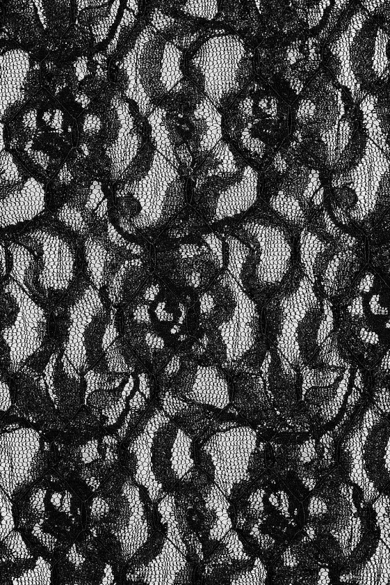 Elastic evening lace