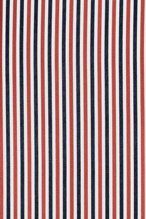 Crepe silk with stripes