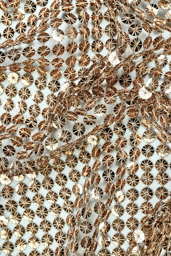 Exclusive Sequin Gold Mesh