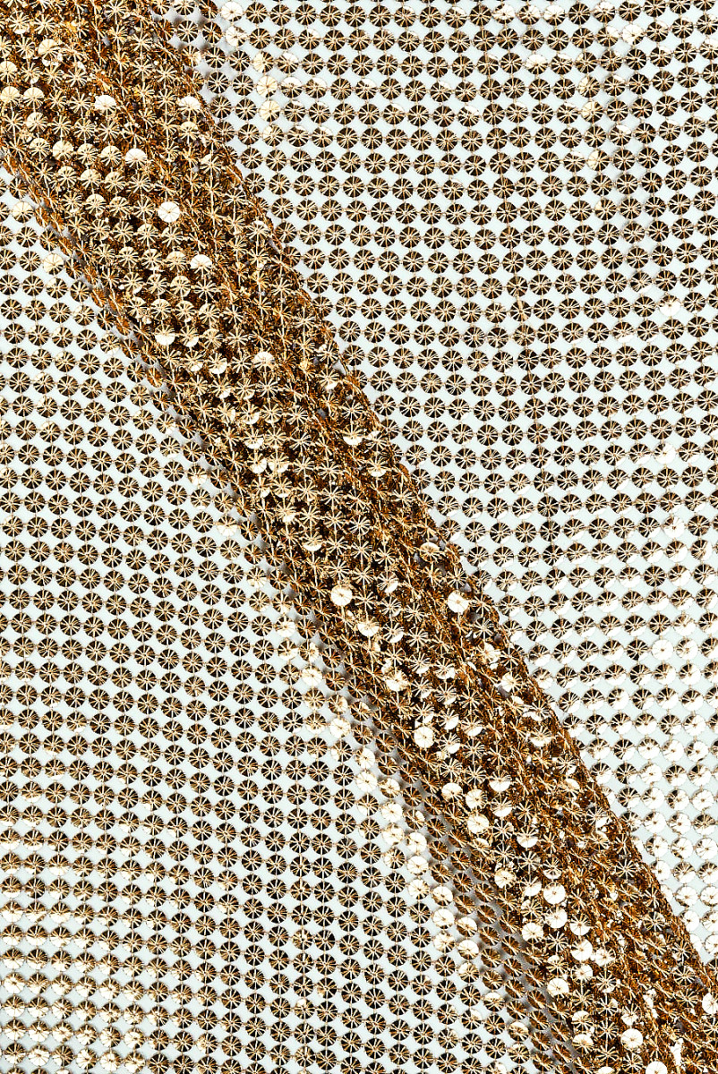 Exclusive Sequin Gold Mesh