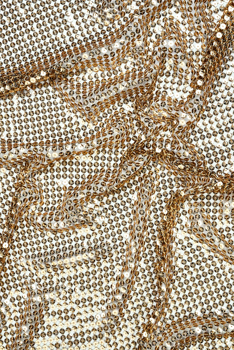 Exclusive Sequin Gold Mesh