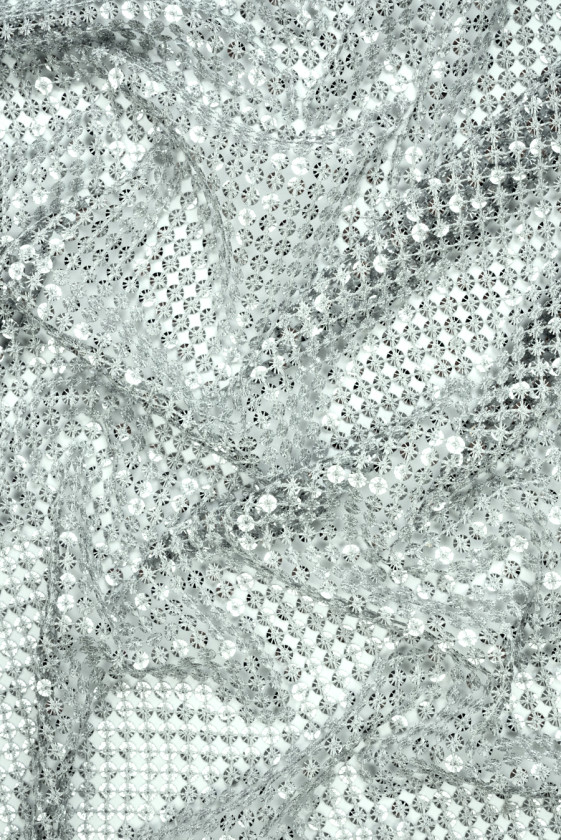 Exclusive sequin silver mesh