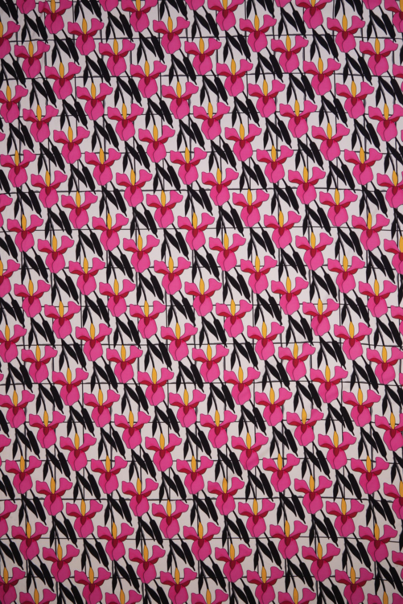 Elastická viskóza v kosatcoch