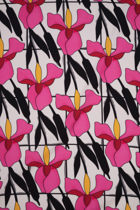 Elastische Viskose in der Iris