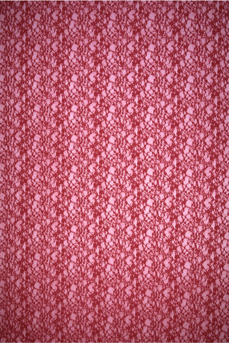 Elastic lace red