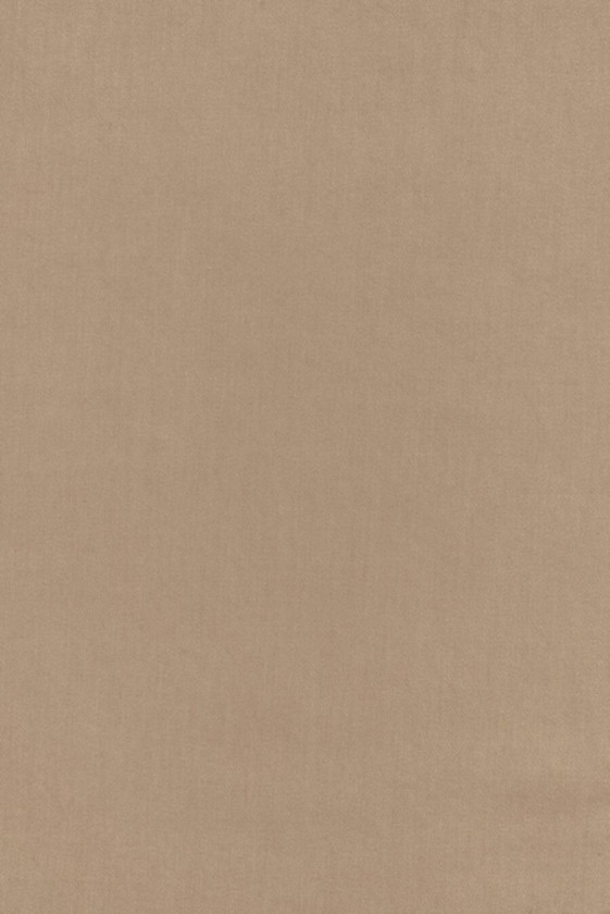 Lyocell fabric beige