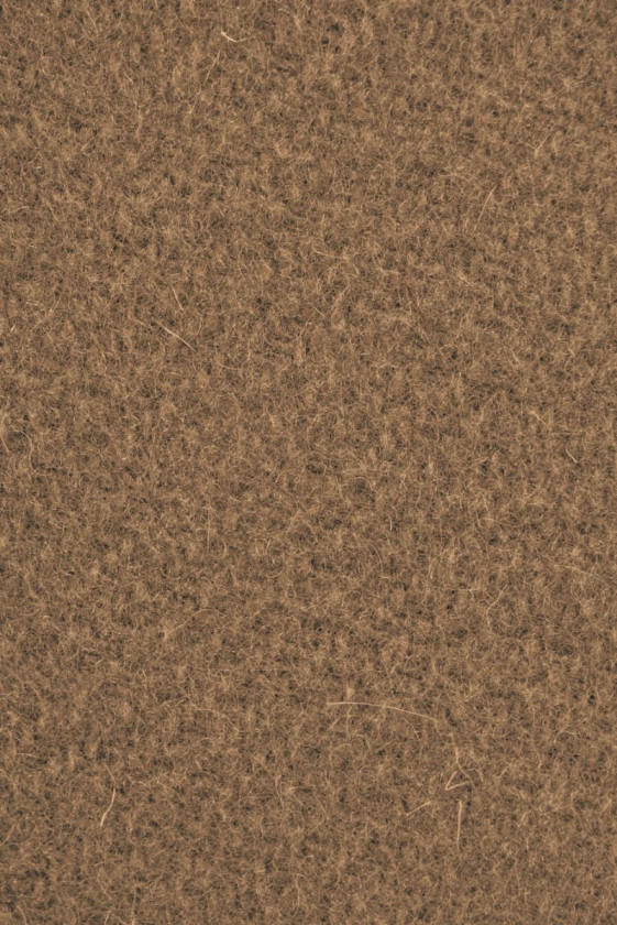 Camel coat wool