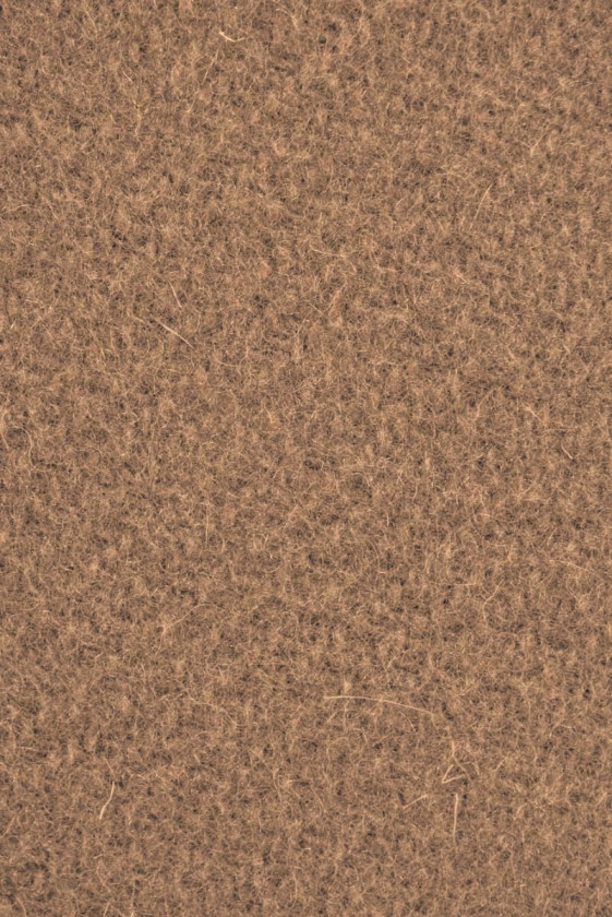 Camel coat wool