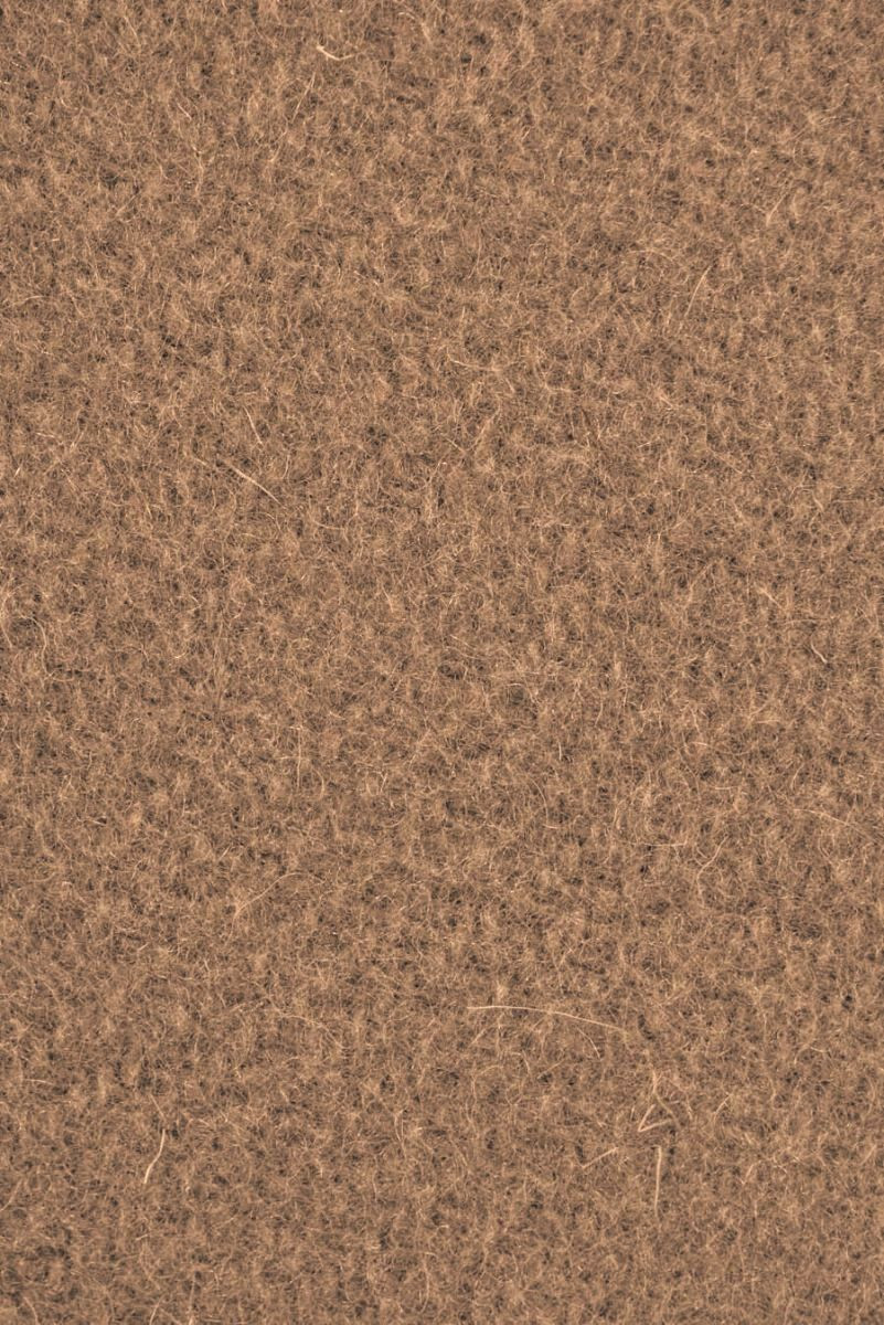Camel coat wool