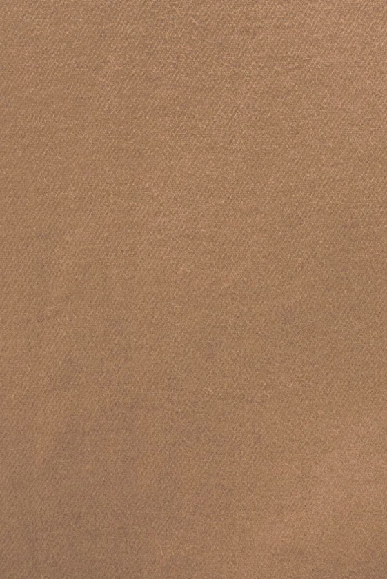 Camel coat wool