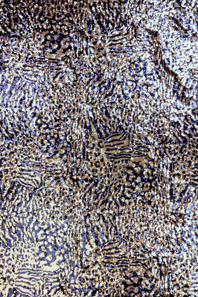 Navy Gold Evening Sequins