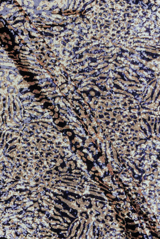 Mereväe kuldsed õhtused litrid