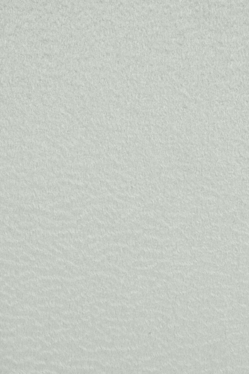 Coated alpaca with wool light grey