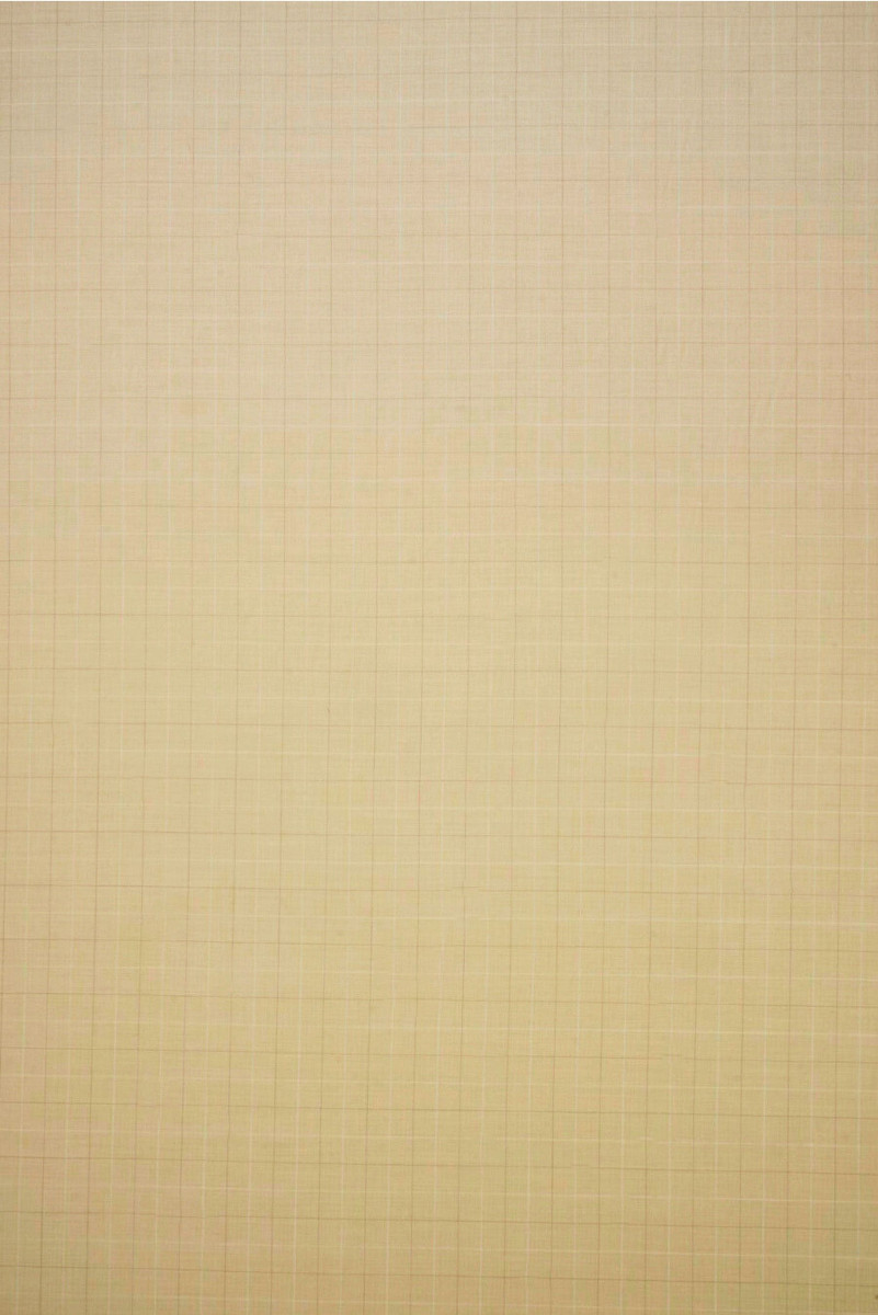 Costume wool beige plaid