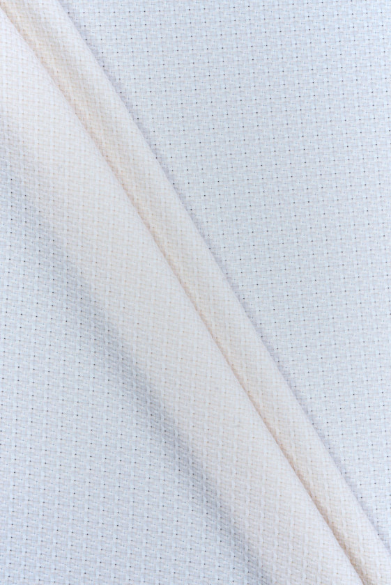 Cream jacquard with silver thread
