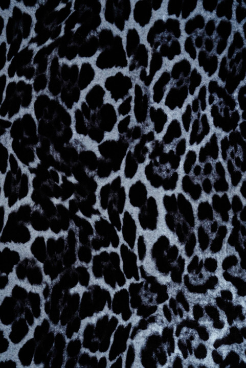 Leopard grey velour