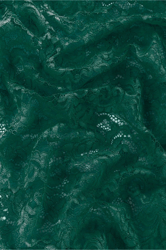 Vert dentelle de mer