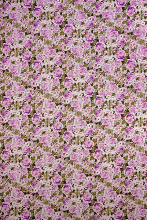 Coton à fleurs violettes