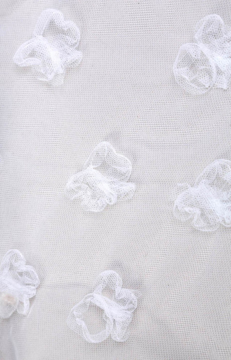 Tulle embroidered