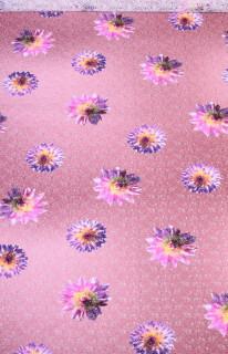 Koronka
