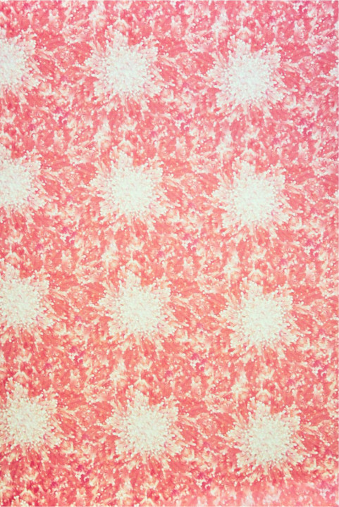 Organza de soie à fleurs