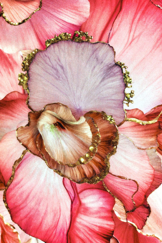 Satin silke blomster med guldkant