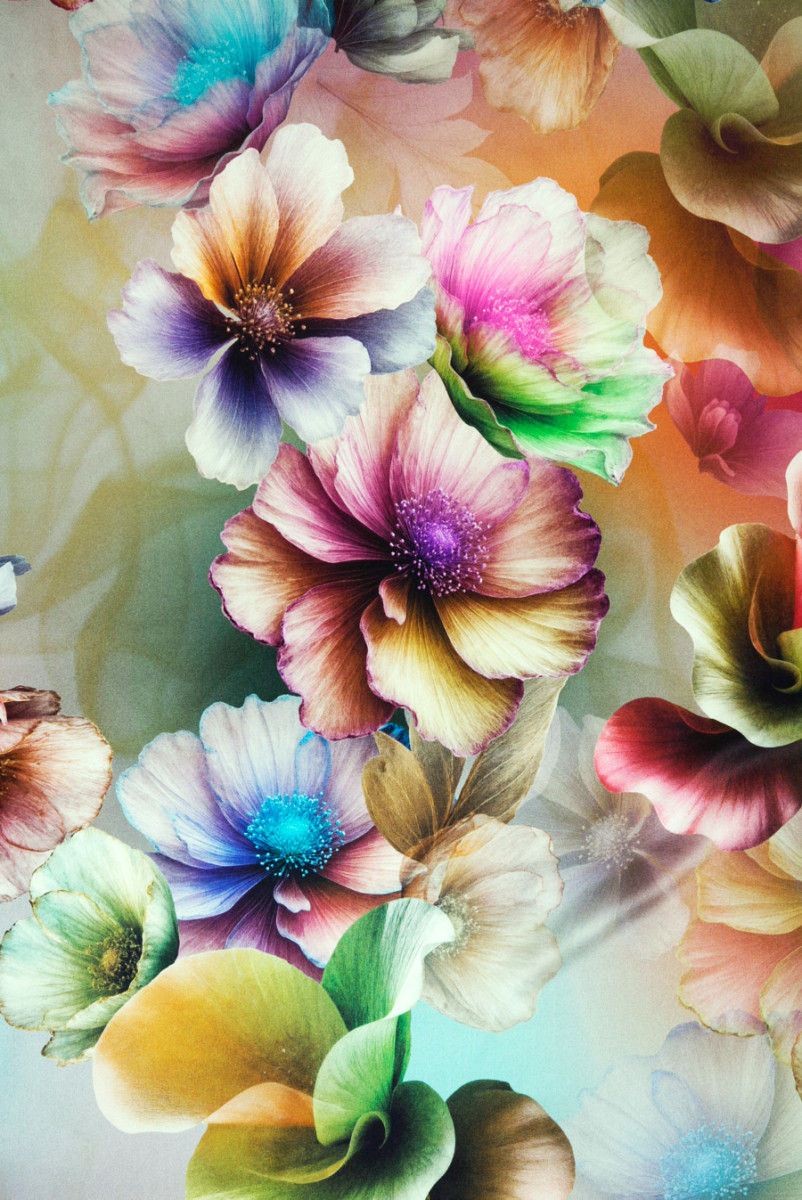 Satyna jedwabna duÅ¼e kwiaty