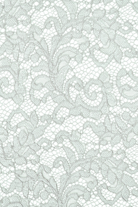 Dentelle gris glacé