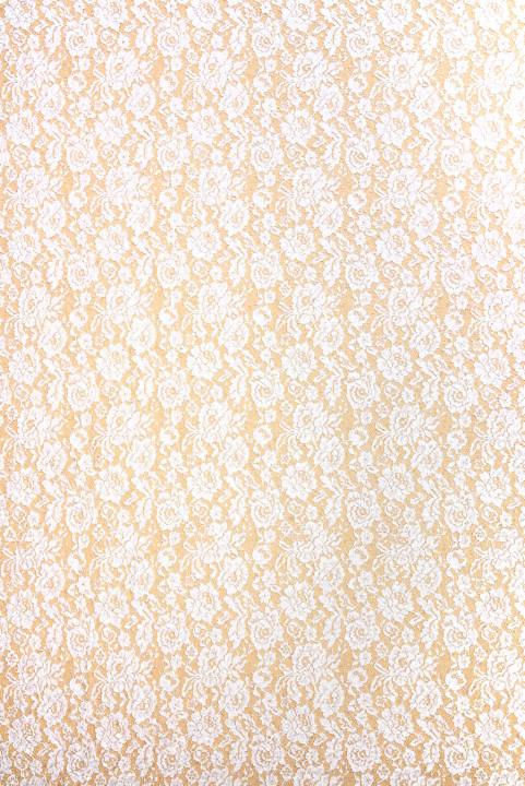 Dentelle crème brodée de fleurs et de perles