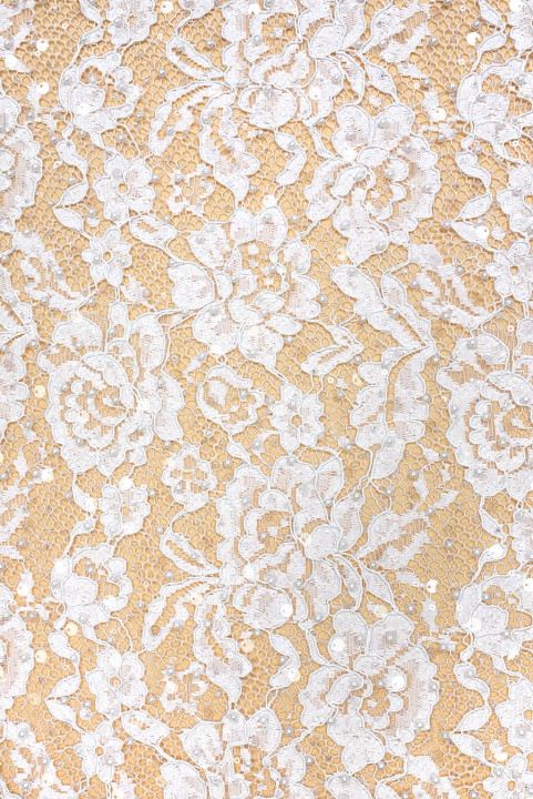 Dentelle crème brodée de fleurs et de perles