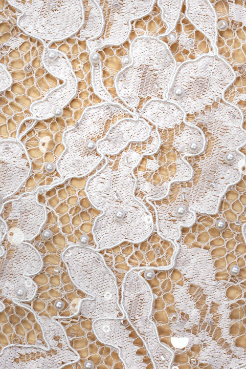 Dentelle crème brodée de fleurs et de perles