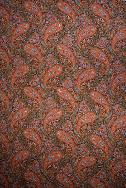 Raso di seta paisley ruggine