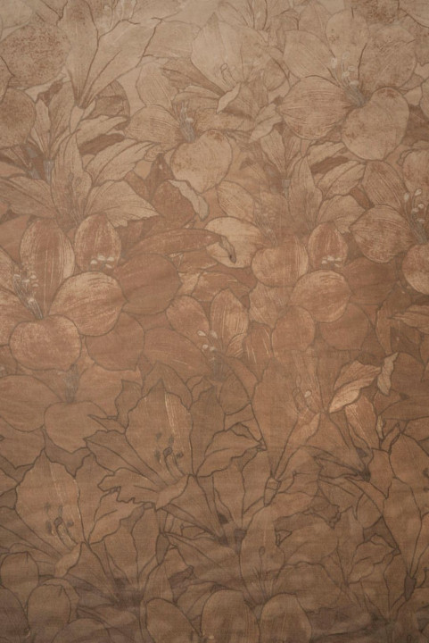 Sifona zāļu zīds ar ēnojumu un ziedu rakstu, brūna