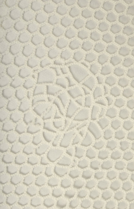 Lace mesh