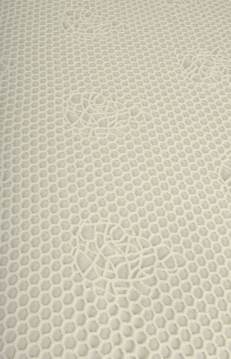 Lace mesh