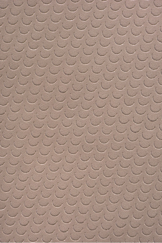 Eco-leather fish scale