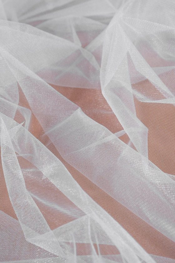 Tulle embroidered - silvery