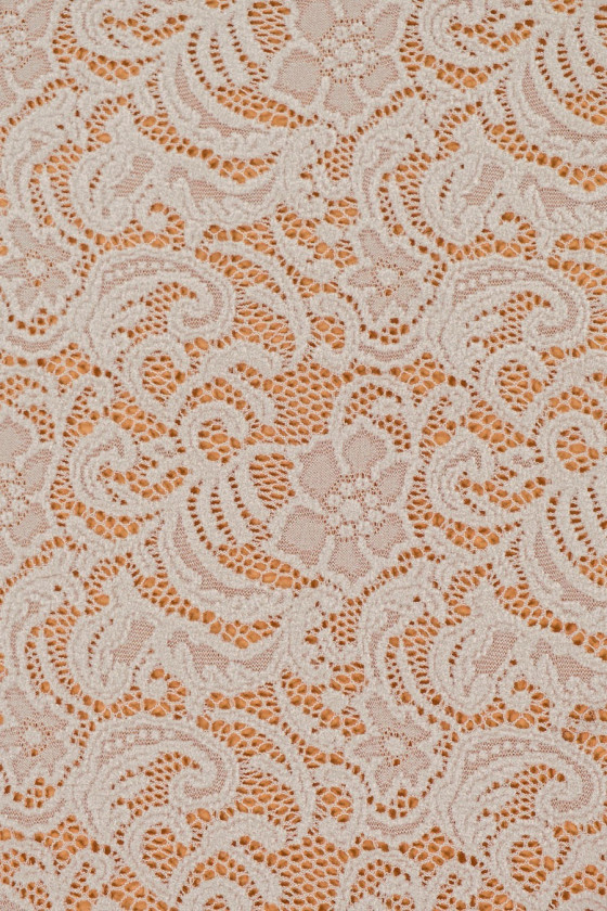 Lace in flowers - cold beige